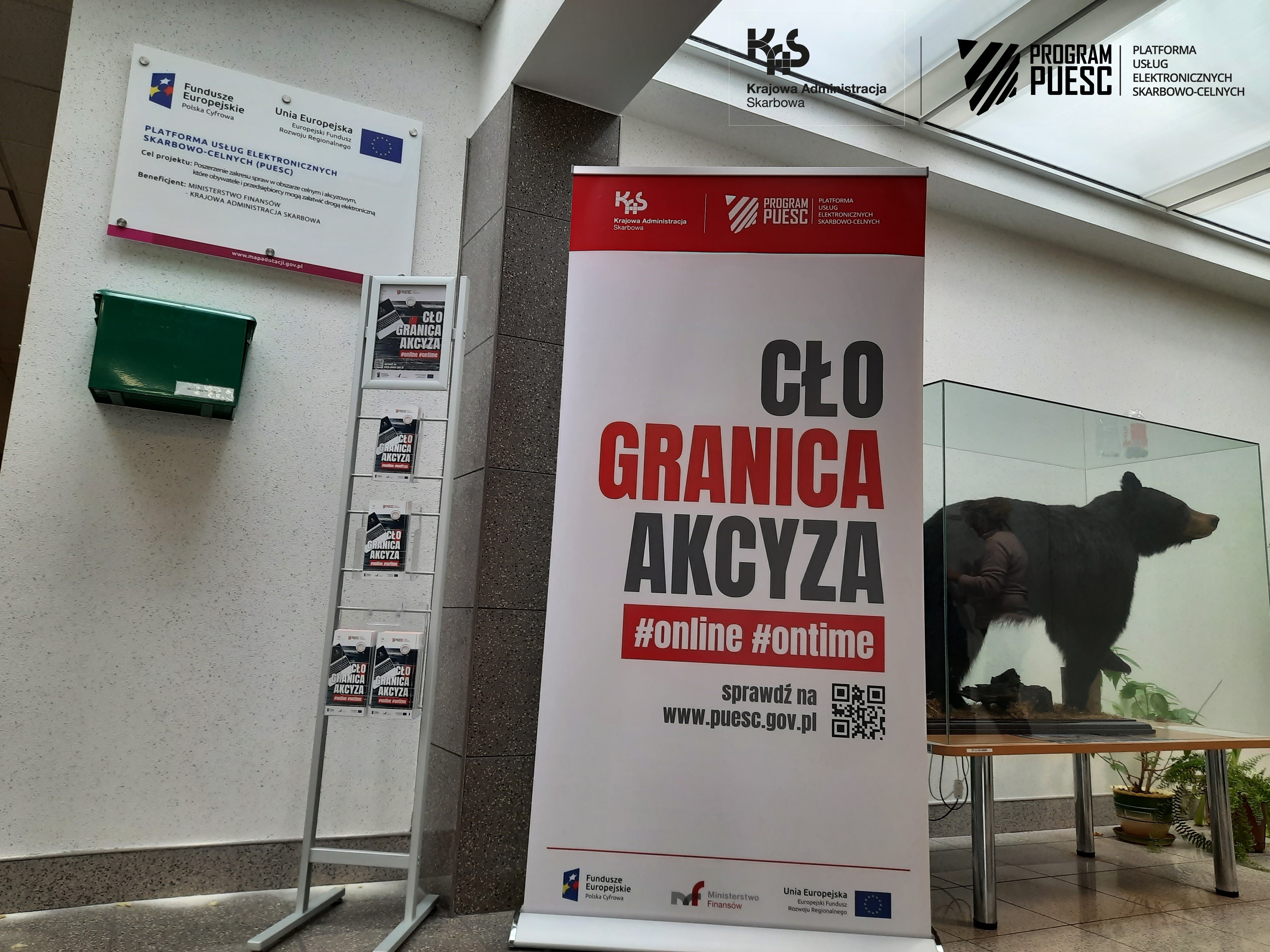 The interior of the Customs and Tax Control Office in Przemyśl. In the middle there is a roll-up with the words Cło, Granica, Excise. On the left, you can see a board informing about the implementation of the PUESC Project, with the following logos: National Revenue Administration, European Funds, Digital Poland, Tax and Customs Information System, Ministry of Finance, European Union, European Regional Development Fund. In the background, on the right, there is a model of a brown bear.